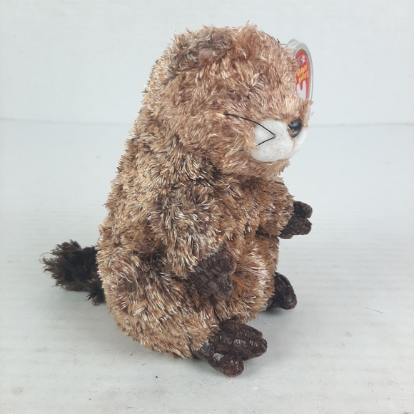 🔥Ty Beanie Baby named Punxsutawney Phil Groundhog Plush - Picture 2 of 3